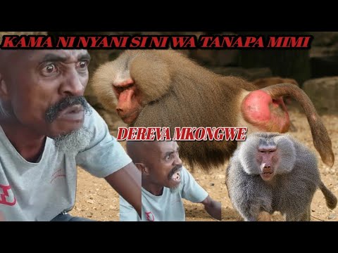 Video: Nini Cha Kufanya Ikiwa Mpendwa Anaumia