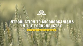 IEH Academy Presents Introduction to Microorganisms in the Food Industry Food Safety eLearning