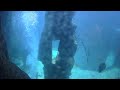 Haus des Meeres Aqua Terra Zoo: Haifischbecken Kamera 2