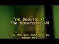 The Beauty of The Backrooms V4