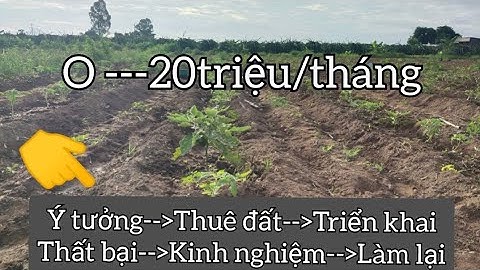quá trình khởi nghiệp từ ngày đầu tiên đến 20 triệu/tháng ở nông thôn