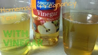 Homemade Pregnancy Test With Vinegar| DIY Pregnancy Test
