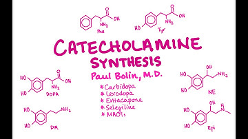 Catecholamine Synthesis/Degradation - CRASH! Medical Review Series