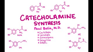 Catecholamine Synthesis/Degradation - CRASH! Medical Review Series