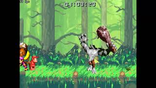 Donkey Kong Country 2 - Kudgel