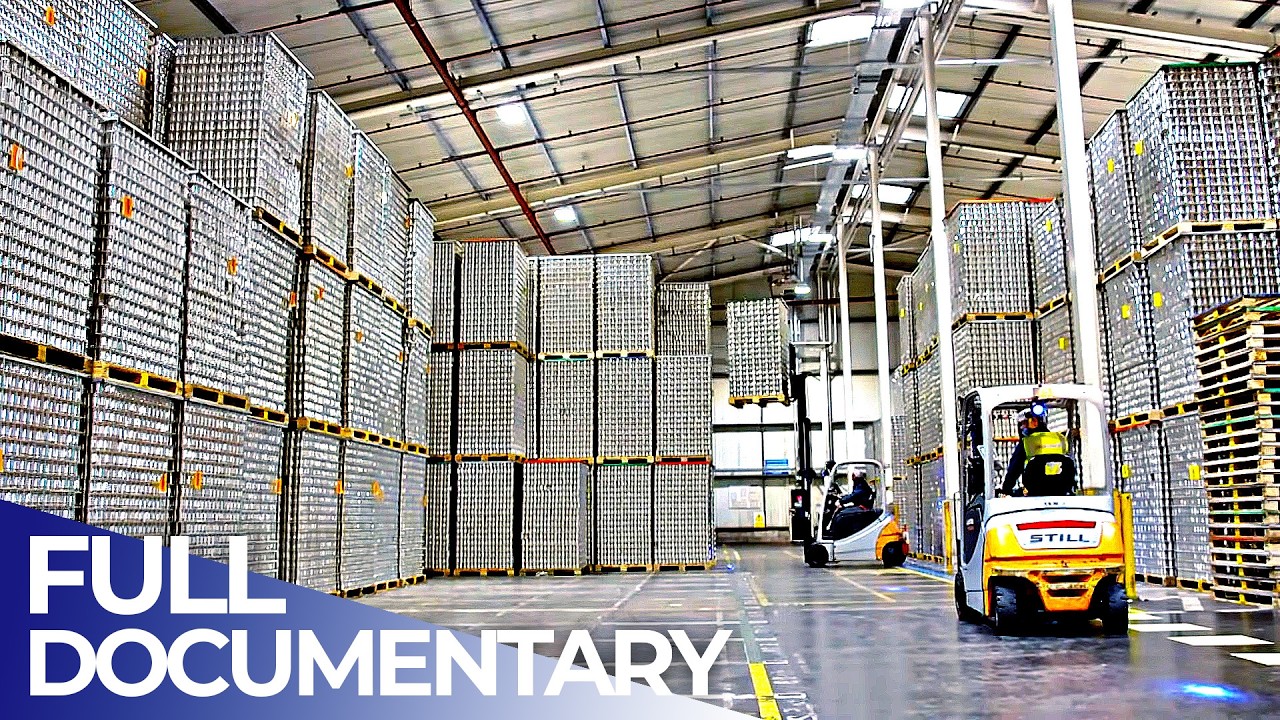 Mega Food Factories: The Secrets of Mass Production | Complete Series | FD Engineering