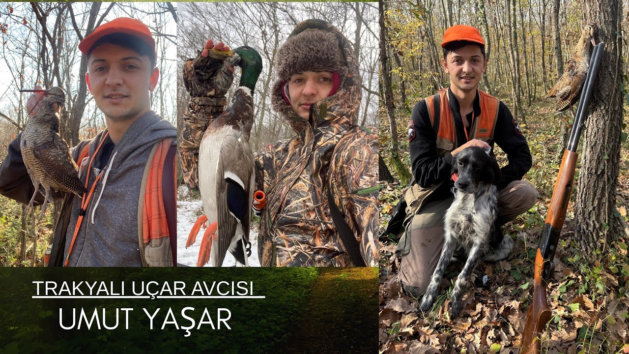 ÇULLUK AVI SEZON SONU NET FERMALAR #hunting #hunter #woodcock #beccaccia #animals #keşfet #setter 