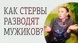 Как стервы разводят мужиков? Кто такая стерва и почему ее выбирают мужчины?