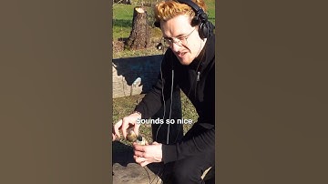 Having fun with the AKG C411