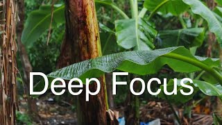 ADHD Focus Music for Flow State | 80 BPM Deep Work Ambience