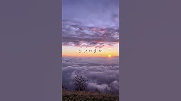 اكتب شيء تأجر عليه💚| ارح قلبك  🕊️ | تلاوة هادئة تذيب القلوب |  (الشيخ ماهر المعيقلي) #quran #قرآن