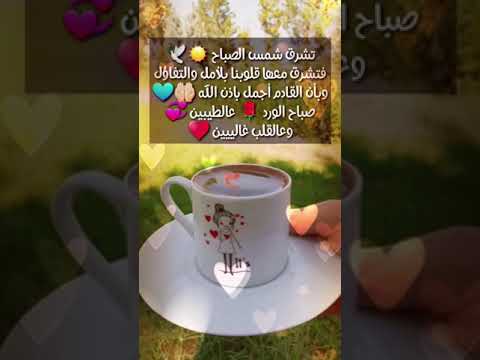 صباح الخير والسعادة صباح الأمل والتفاؤل 