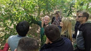 Drugi Seminar Na Zasadu Oraha, Italija 2019