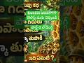 #funny #shorts#ytshorts#amma#podupu katha#telugu riddles#summershorts