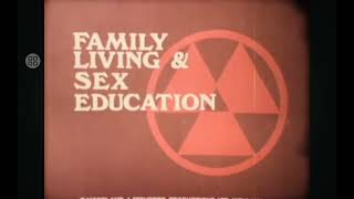 Ve666 Hd Reversed Flase Intro