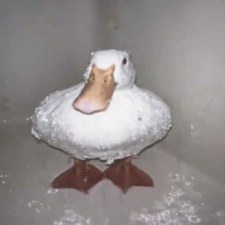 Song : SE CALA - DJ Samir, DJ DUDA, DJ ZAREK #shorts #brazil #funk #brazilianfunk