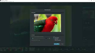 Excire Foto - Ai Powered Image Catalogue