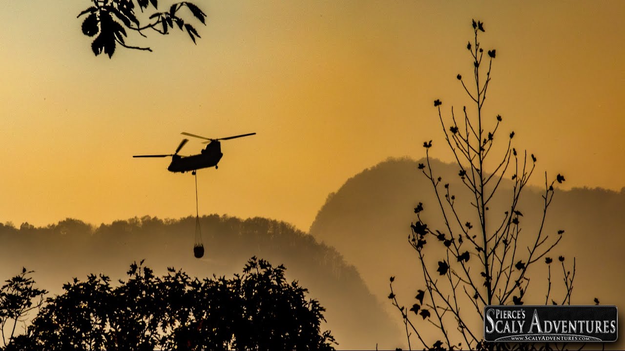 snake oil Wildfire prevention - It's in your hands