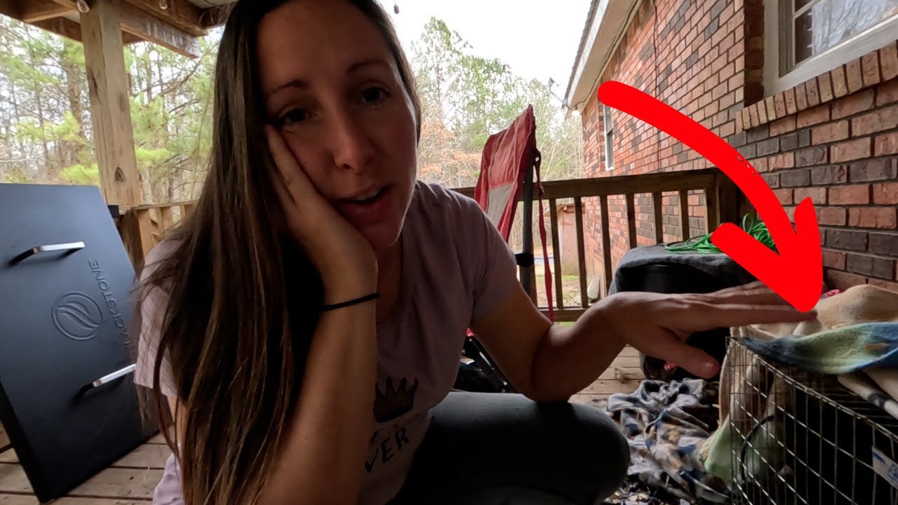 They Are Going To Destroy The Back Porch! YouTube