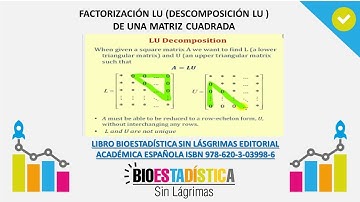 FACTORIZACIÓN LU (DESCOMPOSICIÓN LU )  DE UNA MATRIZ CUADRADA  EN EXCEL| BioEstadística Sin Lágrimas