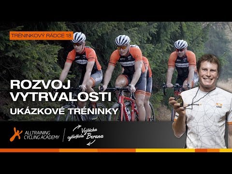 Video: Jak Správně Rozvíjet Vytrvalost