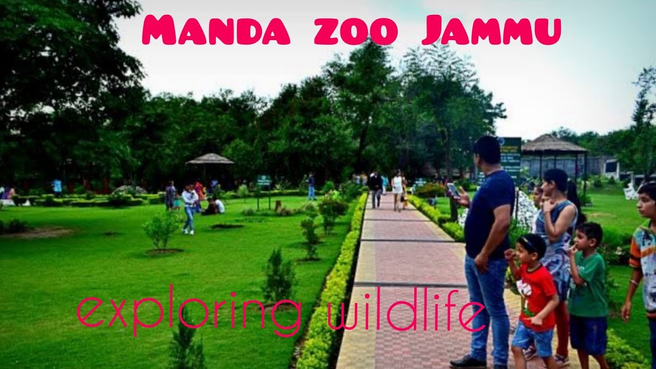 Tour of Manda zoo Exploring wildlife Jammu the city beautiful