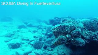 Diving with Abyss 2