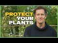 How to Keep Your Backyard Healthy During Colder Months | Season 7 Episode 21 | Gardeners' World