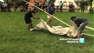 Celebrity Tipi Wealth
