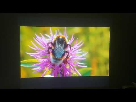 Epson powerlite 93+ 3lcd Projector Video Demo - YouTube