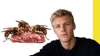 do asian giant hornets eat meat