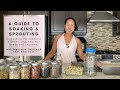 A Guide to Soaking and Sprouting with Registered Dietitian.