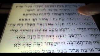 Tanach Bible Android screenshot 3