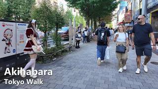 Akihabara Weekday Walk – Tokyo’s Electric Town in October | Tokyo 4K