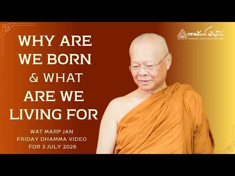 Why Are We Born & What Are We Living For | 3 July 2026