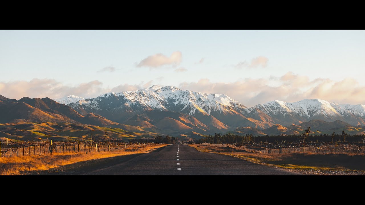 Grampians Angus | The Grumpy Merino #nzmade #angus #merino - YouTube