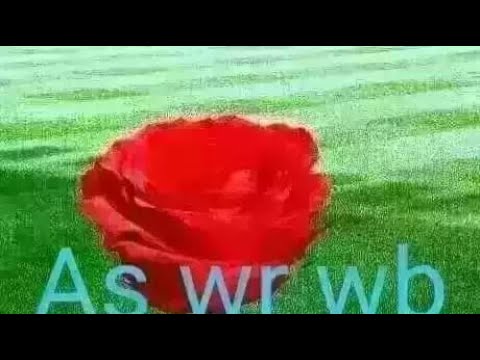 Hadha Fi Abba Keti Mal Oyoo Gottee Si Gammachisaa