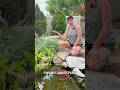 Three guesses what Jamie’s favorite aquatic plant is…