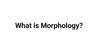 What is Morphology ?