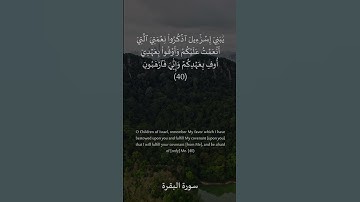 40 سورة البقرة: التلاوة المعبرة مع الترجمة الإنجليزية