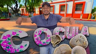The secrets about COCULA that nobody tells you!
