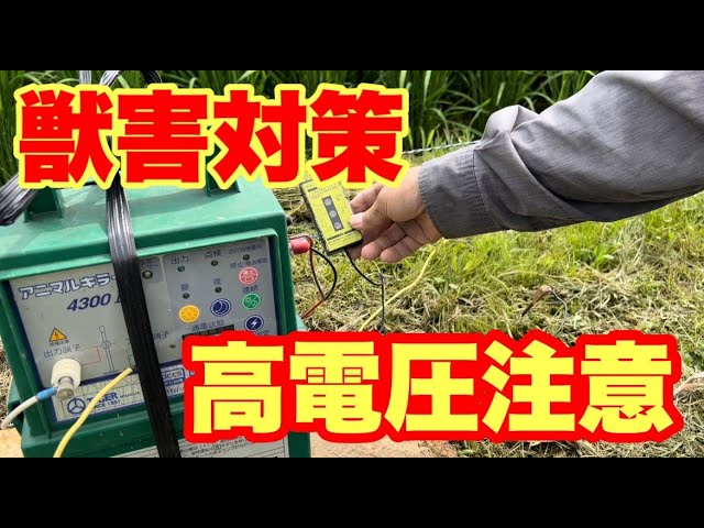 High voltage] Installing electric fences, the most effective way