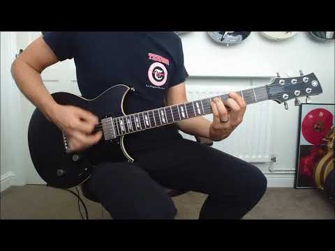 Pennywise Fuck Authority Guitar Cover 