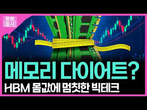 HBM 몸값에 멈칫한 <strong>빅테크</strong> | 박정언 캐스터
