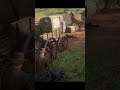 Nothing to See Here | [RDO] #short