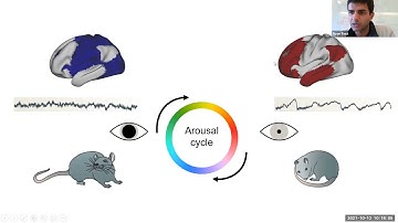 Ryan Raut: Linking Brain States and Brain Networks through Traveling Waves