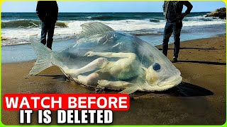 Scientists SURPRISED! They Just Found a $3 TRILLION Treasure 5000m Under The Ocean! Documentary