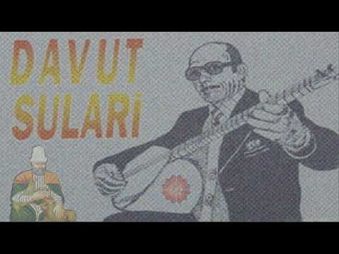 Davur Sulari -