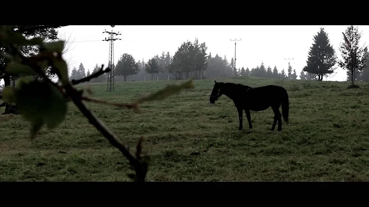 Canon EOS 100d - videotest FULLHD