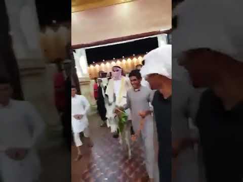 زفة عريس على حمار